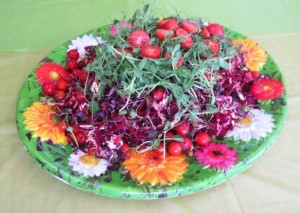 Colourful salad served at the Conference