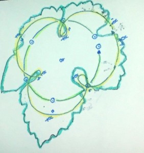 Diagram of the vine leaf shape formed by the movement of Mercury and rhythms of the Sun.