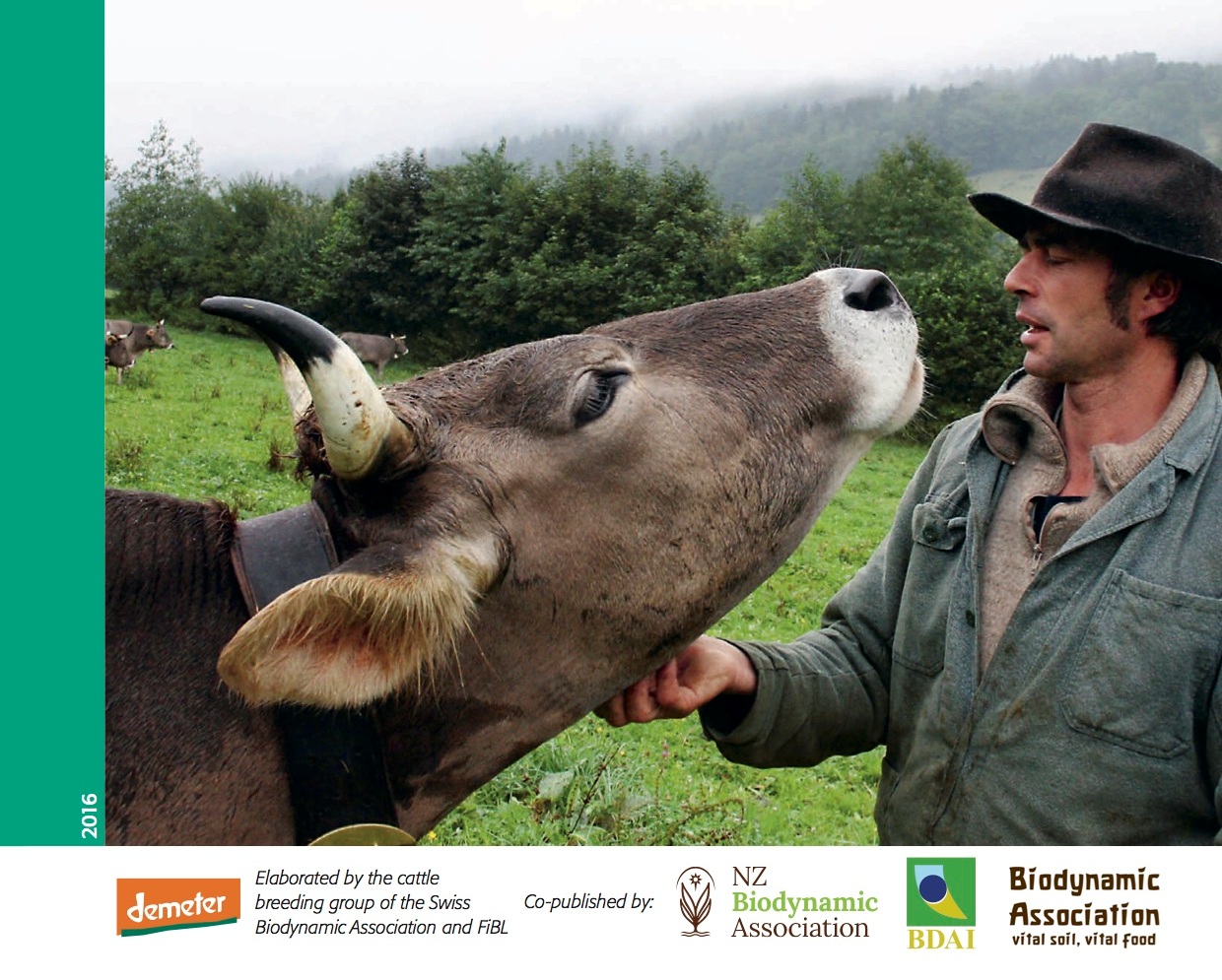 Cover image for "Why cows have horns"