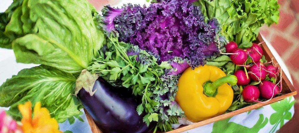 Fresh summer vegetables in a box on a bright tablecloth.